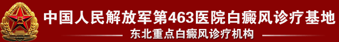 中国人民解放军463医院